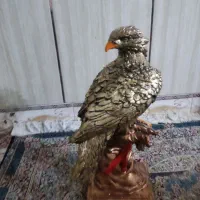 مجسمه عقاب|مجسمه، تندیس، ماکت|بوشهر, |دیوار