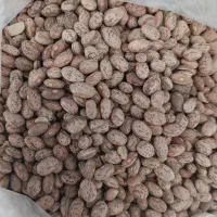 فروش تخفیفی لوبیا ارتشی درجه 1 لرستان