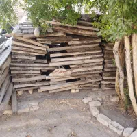 تخته روسی ، قالب شده ، شمی تیر، دوتراش  چهارتراش|مصالح و تجهیزات ساختمان|لنجان, |دیوار