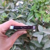 ایفون ۱۴پرو نو نو|موبایل|کرج, گلشهر|دیوار