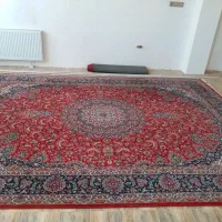 قالی سلیمان 12 متری|فرش|شاهین‌شهر, فدک|دیوار