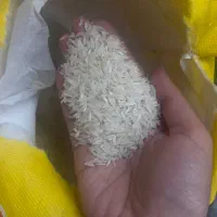 برنج ۳۸۶ طاها