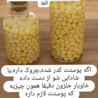 فروش خاویار حلزون