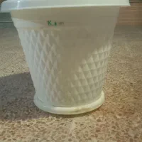 گلدان