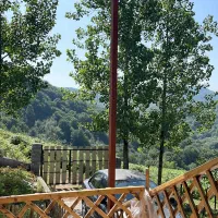 کلبه سوئدی جنگلی راشا|اجارهٔ کوتاه‌مدت ویلا و باغ|زیرآب, |دیوار