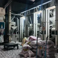 خرید فروش برنج مستقیم از کارخونه