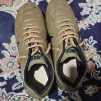 استوک ورزشی