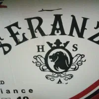 ۲عدد هود سرانزو آکبند