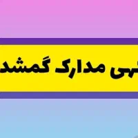 مدارک گم شده به نام ابراهیم پدری