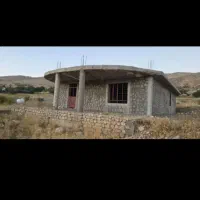 گوسفند