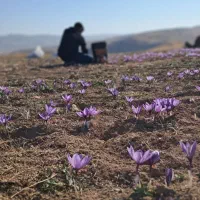 جذب نیروی کار