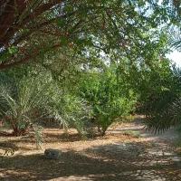 خونه باغ شهر مهر محله چاهو