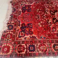 فرش دستباف قدیمی|فرش|شاهینشهر, گزبرخوار|دیوار