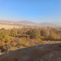 خریدار-باغ-گیلاس