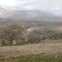 فروش پرورش ماهی