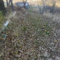 راهنمای