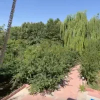 کردان ۱۰۱۷ متر دو بر فروش فوری