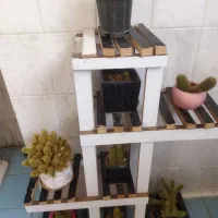 استند گل مناسب کاکتوس|گل و گیاه طبیعی|فولادشهر, B7|دیوار