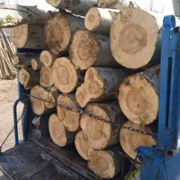 خرید چوب و درخت|خدمات باغبانی و درختکاری|همدان, |دیوار