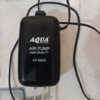 لوازم آکواریوم|ماهی|سهند, |دیوار