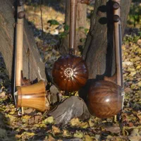 کمانچه پشت بسته الگو دو خم|سازهای سنتی|تهران, فردوسی|دیوار