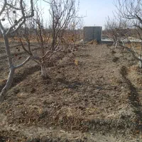 باغچه شهرکی|فروش زمین و ملک کلنگی|تنکمان, |دیوار