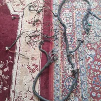 سیم پیچی پژو