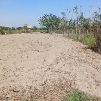 فروش-زمین-کشاورزی-خشکه-560-متری
