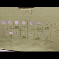 سرویس ۲۴ نفره چینی زرین|ظروف سرو و پذیرایی|شیراز, شهرک بهشتی|دیوار