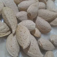 بادام