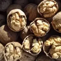 گردو محلی ملایر|عمده‌فروشی|میبد, |دیوار