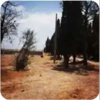 زمین-در-ده-هنری-جوپار