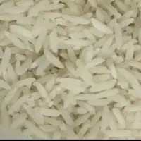 برنج هاشمی خریدوفروش