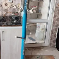 فروش چوب لباسی  درندنو