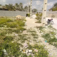 زمین مسکونی|فروش زمین و ملک کلنگی|بوشکان, |دیوار