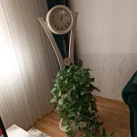 ساعت ایستاده|ساعت دیواری و تزئینی|اصفهان, ارداجی|دیوار