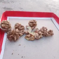 حدود ۵۰ کیلو گردو تازه امسال