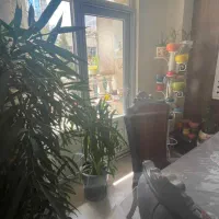 فردوس غرب/سازمان برنامه/۷۲متر/۲خواب/با امکانات|فروش آپارتمان|تهران, سازمان برنامه جنوبی|دیوار