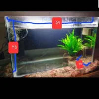 آکواریوم شیشه ای