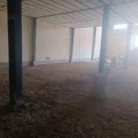 اجاره سوله ۶۵۰ متری در 22بهمن فرهنگ شهر|اجارهٔ دفتر صنعتی، کشاورزی، تجاری|اهواز, فرهنگ شهر|دیوار