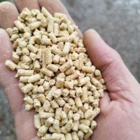 دان پلت جوجه گوشتی کوروش