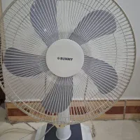 پنکه سانی