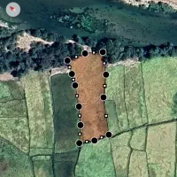 زمین-برنجکاری