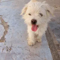 قیمت رو با آگهی های مشابه مقایسه کنین