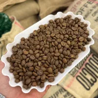دان قهوه عمده