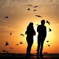 نیازمند زوج جهت مدلینگ (بدون تجربه و بدون چهره)