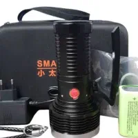 چراغ قوه اسمال سانT207