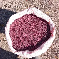 لوبیا قرمز|خوردنی و آشامیدنی|آوج, |دیوار