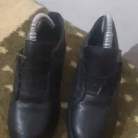 کفش اسپرت