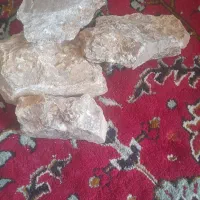 پریت  باذرات طلا|بدلیجات|میاندوآب, |دیوار